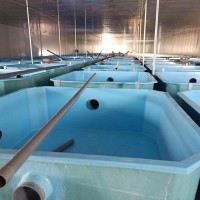 盐城玻璃钢鱼池鱼缸养殖玻璃钢水槽可定制玻璃钢水产孵化池